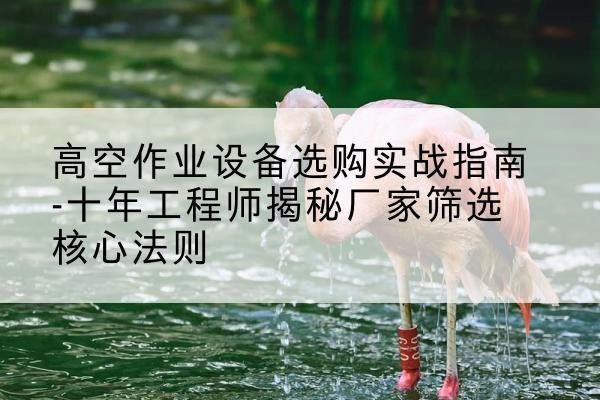 新蔡剪叉式升降机厂家-高空作业设备选购实战指南-十年工程师揭秘厂家筛选核心法则