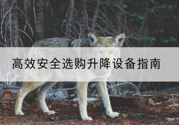 新蔡升降货梯厂家推荐-*安全选购升降设备指南