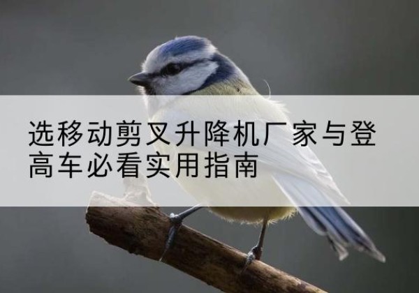新蔡电动升降机厂家-选移动剪叉升降机厂家与登高车必看实用指南