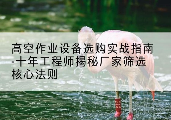 新蔡剪叉式升降机厂家-高空作业设备选购实战指南-十年工程师揭秘厂家筛选核心法则